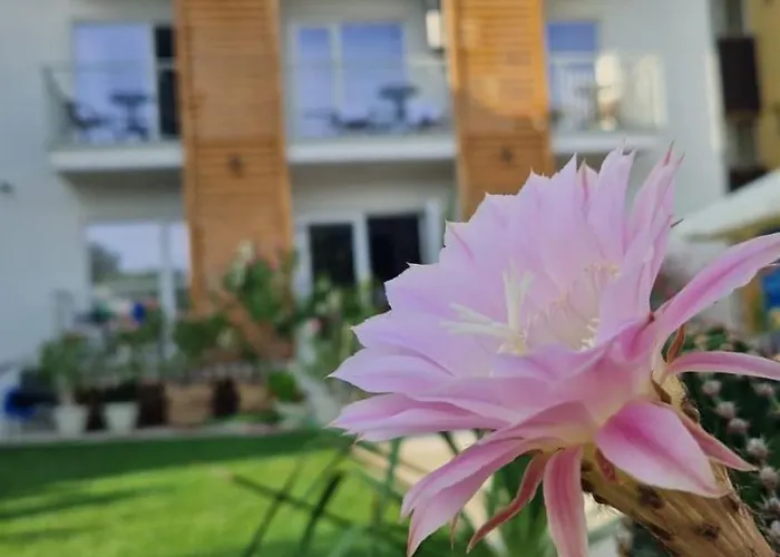 ALYA Sea Escape Costinesti - parcare gratuita Hotel